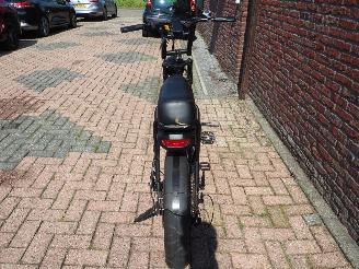 Overige  Fatbike EB2 picture 5