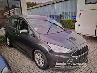 Ford Grand C-Max Grand C-Max (DXA), MPV, 2010 / 2019 1.0 Ti-VCT EcoBoost 12V 125 picture 18