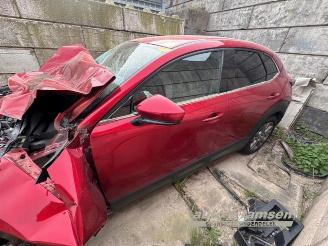 Mazda CX-30 CX-30 (DM), SUV, 2019 2.0 e-SkyActiv-G 150 16V picture 4