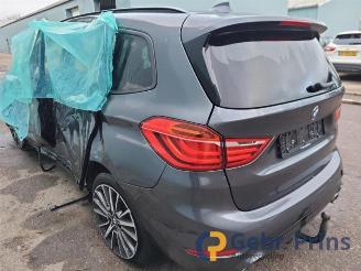 BMW 2-serie 2 serie Gran Tourer (F46), MPV, 2014 220i 2.0 TwinPower Turbo 16V picture 3