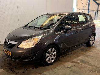 Opel Meriva 1.4 16V Ecotec MPV  Benzine 1.398cc 74kW (101pk) FWD picture 8