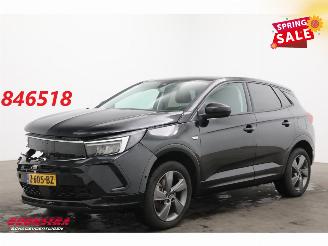 uszkodzony samochody osobowe Opel Grandland 1.6 Turbo Plug-In Hybrid Elegance LED ACC 360° LRHZ AHK 2023/1