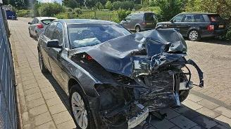 BMW 7-serie 7 serie (F01/02/03/04), Sedan, 2008 / 2015 730d 24V picture 6