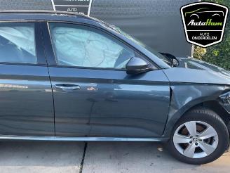 Skoda Kamiq Kamiq, SUV, 2019 1.0 TSI 12V picture 10