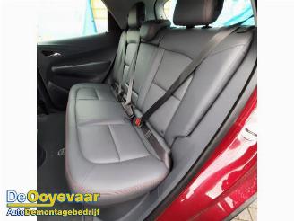 Opel Ampera-E Ampera-e, Hatchback, 2017 / 2019 Ampera-e picture 9