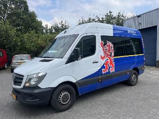 Mercedes Sprinter 313 CDI L2/H2 KOMBI / COMBI / PERSONENBUS, PRIJS IS EXCL. BTW ! picture 2