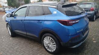 Opel Grandland Grandland (X) SUV 1.2 Turbo 12V (B12XHT(EB2DTS)) [96kW]  (06-2017/...)= picture 4