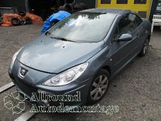 Coche siniestrado Peugeot 307 307 CC (3B) Cabrio 2.0 16V (EW10J4(RFN)) [100kW]  (10-2003/06-2005) 2004