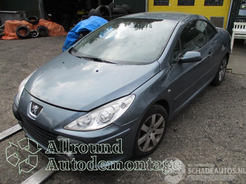 Peugeot 307 307 CC (3B) Cabrio 2.0 16V (EW10J4(RFN)) [100kW]  (10-2003/06-2005)