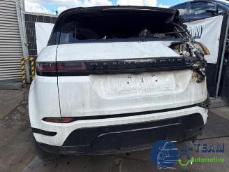 Land Rover Range Rover Range Rover Evoque II (LZC/LZS/LZH), SUV, 2018 2.0 P250 MHEV 16V AWD picture 8