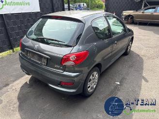 Peugeot 206 206+ (2L/M), Hatchback, 2009 / 2013 1.1 XR,XS picture 9