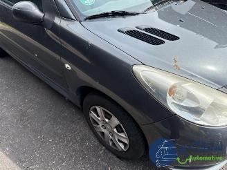 Peugeot 206 206+ (2L/M), Hatchback, 2009 / 2013 1.1 XR,XS picture 30