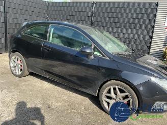 Seat Ibiza Ibiza IV (6J5), Hatchback 5-drs, 2008 / 2017 1.2 TDI Ecomotive picture 24