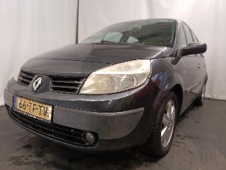 uszkodzony samochody osobowe Renault Scenic Grand Scénic II (JM) MPV 2.0 16V (F4R-770(Euro 4)) [99kW]  (04-2004/=
06-2009) 2006/8