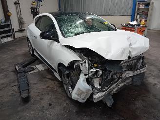 Renault Mégane Megane III Coupe (DZ) Hatchback 3-drs 2.0 16V TCe 180 (F4R-870(F4R-L8)=
) [132kW]  (11-2008/08-2015) picture 2