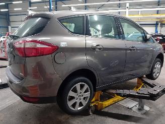 Ford C-Max C-Max (DXA) MPV 1.0 Ti-VCT EcoBoost 12V 100 (M2DA(Euro 5)) [74kW]  (10=
-2012/06-2019) picture 3