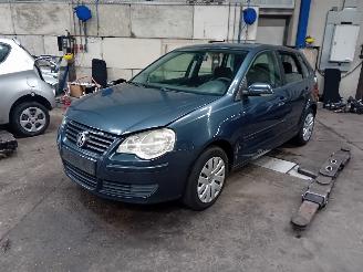 Volkswagen Polo Polo IV (9N1/2/3) Hatchback 1.4 16V (BUD) [59kW]  (05-2006/11-2009) picture 1