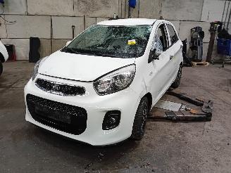 Kia Picanto Picanto (TA) Hatchback 1.0 12V (G3LA) [49kW]  (05-2011/06-2017) picture 1
