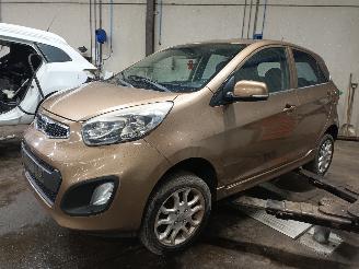 Coche siniestrado Kia Picanto Picanto (TA) Hatchback 1.0 12V (G3LA) [51kW]  (05-2011/06-2017) 2011/12