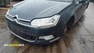 Citroën C5 C5 III Tourer (RW), Combi, 2008 / 2017 2.0 HDiF 16V picture 19