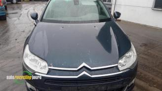 Citroën C5 C5 III Tourer (RW), Combi, 2008 / 2017 2.0 HDiF 16V picture 22