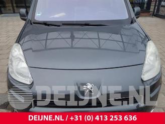 Peugeot Partner Partner (GC/GF/GG/GJ/GK), Van, 2008 / 2018 1.6 HDI 90 picture 34