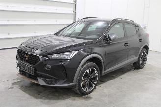 Schadeauto Cupra Formentor  2024/2