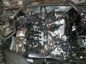 Audi Q5 Q5 (FYB/FYG), SUV, 2016 2.0 40 TDI 16V Quattro picture 17