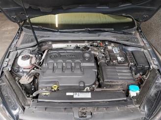 Volkswagen Golf Golf VII (AUA), Hatchback, 2012 / 2021 1.6 TDI BMT 16V picture 17