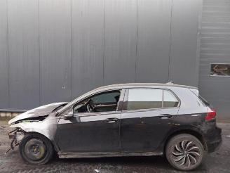 Volkswagen Golf Golf VIII (CD1), Hatchback, 2019 1.0 eTSI 12V picture 9