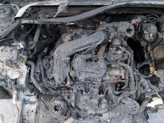 Volkswagen Golf Golf VIII (CD1), Hatchback, 2019 1.0 eTSI 12V picture 20