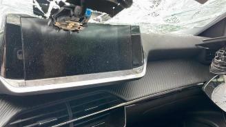 Peugeot 2008 2008 (UD/UK/UR/US/UX), MPV, 2019 1.5 BlueHDi 110 picture 13