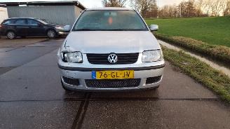 occasione autovettura Volkswagen Polo  2001/1