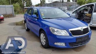 Skoda Octavia Octavia Combi (1Z5), Combi 5-drs, 2004 / 2013 1.9 TDI picture 3