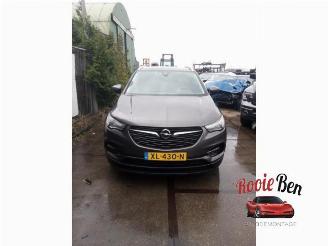 Démontage voiture Opel Grandland Grandland (X), SUV, 2017 1.2 Turbo 12V 2019/1