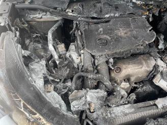 Opel Grandland Grandland (X), SUV, 2017 1.5 CDTI 130 picture 13