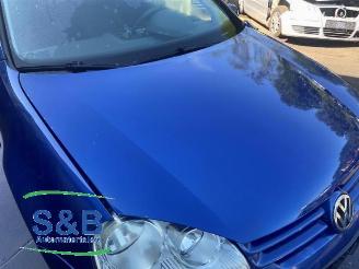 Volkswagen Golf Golf V (1K1), Hatchback, 2003 / 2010 1.6 FSI 16V picture 16