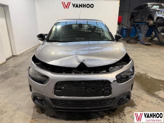Citroën C4 CACTUS picture 2