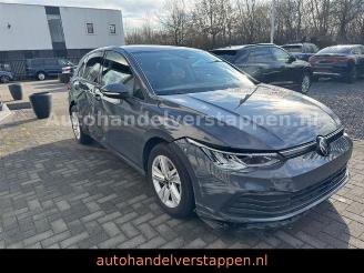 Volkswagen Golf VIII 2.0 SCR TDi Life Business Premium DSG picture 10