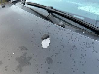 Peugeot 207 CC 1.6-16V T Sport picture 22