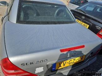 Mercedes SLK SLK (R170), Cabrio, 1996 / 2004 2.0 200 16V picture 9