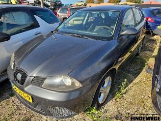 Sloopauto Seat Ibiza Ibiza III (6L1), Hatchback, 2002 / 2009 1.4 TDI 80 2009/4