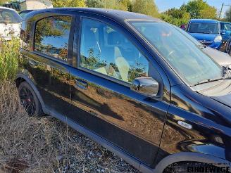 Fiat Panda Panda (169), Hatchback, 2003 / 2013 1.4 16V picture 13