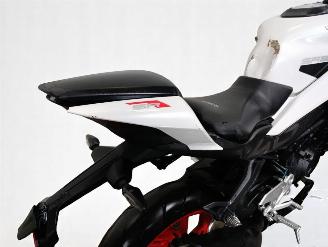 CFMoto  SR 450 picture 11