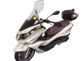 Piaggio X10  picture 13