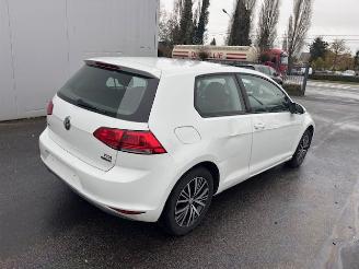  Volkswagen Golf  2013/10