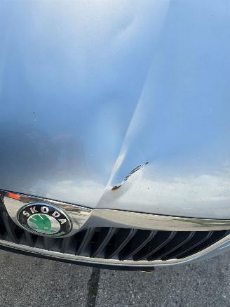 Skoda Fabia  picture 9