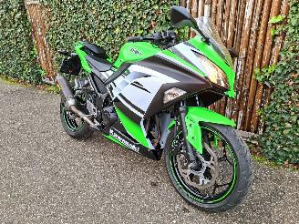 škoda motocykly Kawasaki  Ninja 300 Anniversary Edition 2015/6
