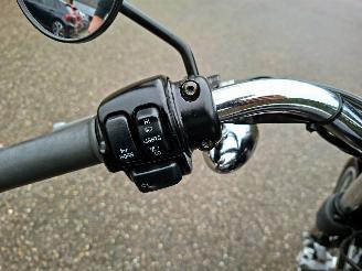 Harley-Davidson XL 1200 SPORTSTER CUSTOM 5HD picture 23