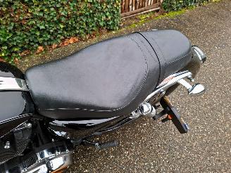 Harley-Davidson XL 1200 SPORTSTER CUSTOM 5HD picture 17